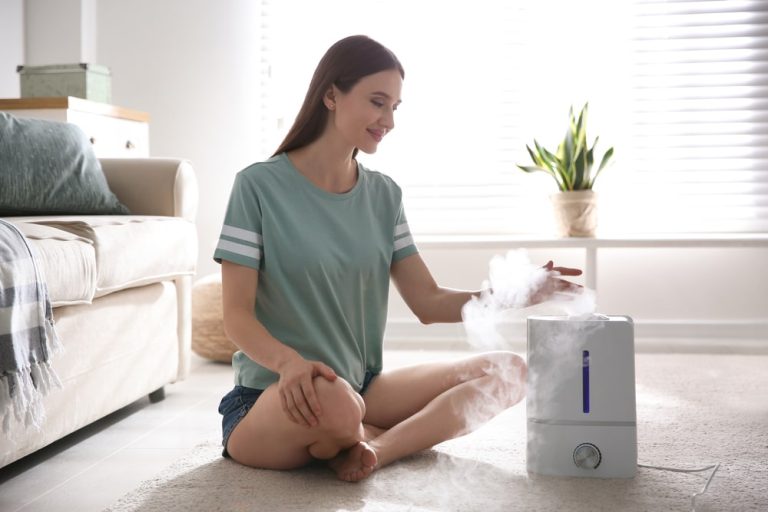 Humidifiregeek.com