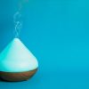humidifiergeek.com