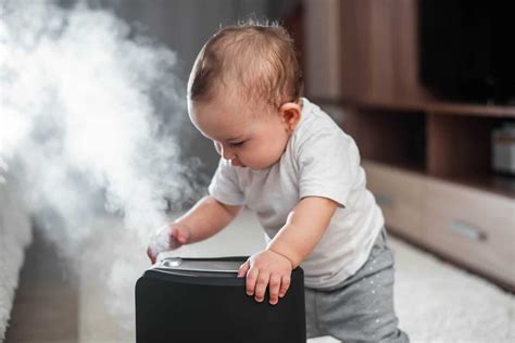 humidifiergeek.com
