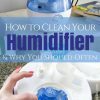 humidifiergeek.com